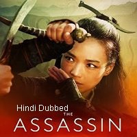 the assassin 2015 hindi dubbed full movie watch online The Assassin (2015) Hindi Dubbed Full Movie Watch Online HD Print Free Download