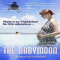 the babymoon 2017 full movie The Babymoon (2017) Full Movie Watch Online HD Print Free Download