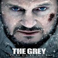 the grey 2011 hindi dubbed full movie The Grey (2011) Hindi Dubbed Full Movie Watch Online HD Print Free Download