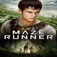 the maze runner 2014 full movie The Maze Runner (2014) Full Movie Watch Online HD Print Free Download