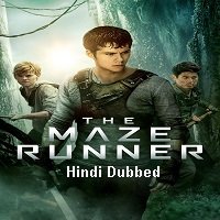 the maze runner 2014 hindi dubbed The Maze Runner (2014) Hindi Dubbed Full Movie Watch Online HD Print Free Download