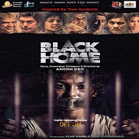 black home 2014 hindi dubbed Black Home (2014) Hindi Dubbed Full Movie Watch Online HD Print Free Download