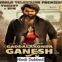 gaddalakonda ganesh 2019 web dl uncut ddddhindi dual audio 720p 480p