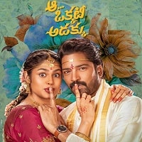 aa okkati adakku 2024 unofficial hindi dubbed full movie watch online Aa Okkati Adakku (2024) Unofficial Hindi Dubbed Full Movie Watch Online HD Print Free Download