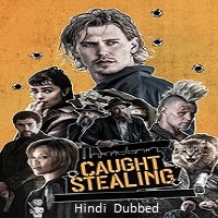 caught stealing 2025 hindi dubbed
