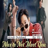 nice to not meet you 2025 ep 01 hindi dubbed season 1