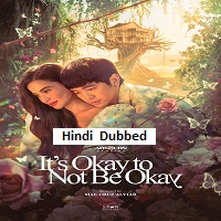 its okay to not be okay 2025 hindi dubbed season 1 complete